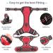 Buy Heele Dog Crockery & No-Pull Harness | Breathable Adjustable Reflective Dishes for Large Dogs - XL Red - Buy Online on GoSupps.com