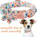 Unique Style Paws Peach Flower Dog Collar | Adjustable Cotton Collar for Young Girls | XL 16-26in Metal Buckle - Buy Online on GoSupps.com