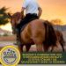 Emma Magnesium for Horses | 1L & 30ml Paste & Liquid | Calm & Relax Nervous Horses | Anti-Stress Nerve Support with Tryptophan - Buy Online on GoSupps.com