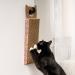 SmartyKat Scratch Up Hanging Corrugated Cat Scratcher | Catnip Infused | Promotes Healthy Nail Growth | Single Pack - Buy Online on GoSupps.com