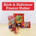 RITZ Bits Peanut Butter Sandwich Crackers 8.8 oz Pack of 12 - 8.8 Ounce (Pack of 12) - Buy Online on GoSupps.com