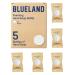BLUELAND Foaming Hand Soap Tablet Refills - 5 Pack | Eco Friendly Products & Cleaning Supplies | Iris Agave Scent | Makes 5 x 9 Fl oz bottles (45 Fl oz total) Iris Agave 5 Tablets