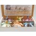 Spa Pure Kittens in Basket - 6 Adorable Hidden Kittens Bath Bomb XL 5 oz (6 Count) Multicolor Pack - Buy Online on GoSupps.com