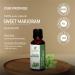 100% Pure Marjoram Oil - Essential Oil (Origanum Majorana) 15ML | Therapeutic Grade Natural & Undiluted - International Shipping Available - Buy Online on GoSupps.com