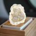 Crystal Hole Natural White Geode Rainbow Titanium Coated Quartz Cluster Specimen Angel Halo Crystal Hole - Buy Online on GoSupps.com