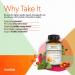 NutriRise Ashwagandha 1950 mg - 180 Capsules | Stress Relief & Wellness Supplement - Buy Online on GoSupps.com