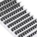 Pleell Lash Clusters 110 pcs DD Curl Individual Eyelash Extensions 10-16mm - Natural & Wispy DIY Eyelashes - Buy Online on GoSupps.com