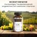 OPC Grape Seed Extract Capsules with Natural Vitamins C A & E | Antioxidant Complex | 530mg Vegan Formula | Laboratory Tested No Magnesium Stearate - Buy Online on GoSupps.com