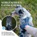 Freudentier Breathable Dog Harness | Comfort Padded & Secure | Anti-Drawing for All Dog Sizes | Let s Get Foxy Collection - Buy Online on GoSupps.com