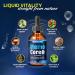 Memo Core Memo Core Drops Memory Support with Natural Liquid Blend in a Convenient Dropper | Daily MemoCore Vitamins for Focus Clarity & Sharpness | Easy-to-Use Dropper (30 Servings) - Buy Online on GoSupps.com