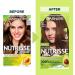 Garnier Nutrisse Ultra Cr me Permanent Hair Dye 100% Grey Coverage Vegan Formula Nourished Hair Long-Lasting Rich Colour 53 Medium Golden Brown 1 Application Packaging May Vary BROWN SHADES 53 Medium Golden Brown - Buy Online on GoSupps.com