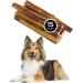 Only One Treats Bully Sticks 6 Jumbo Beef Dental Sticks for Dogs Dental Health Natural and Fully Digestible Dog Chew Training Treats for Small to Medium Pets and Gentle Chewers (15x34g) 15 count (Pack of 1) 6" (Pack of 15) - Buy Online on GoSupps.com
