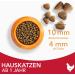 IAMS Indoor Dry Cat Food with Chicken - 10 kg | Premium Nutrition for Cats 1 Year & Older - Buy Online on GoSupps.com