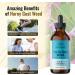 Horny Goat Weed Liquid Extract - Organic Energy & Muscle Support Supplement - Immune Booster Tincture - Vegan & Alcohol-Free - 4 fl. oz Bottle - Buy Online on GoSupps.com