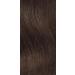 Revlon Colorstay Longwear Permanent Cream Colour Medium Brown 5 Medium Brown 165 ml (Pack of 1) - Buy Online on GoSupps.com