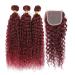 12A Grade 99j Burgundy Water Wave Hair 3 Bundles with Closure - Brazilian Virgin Remy Wine Red Ocean Wave Hair Extensions (12 14 16+10) - Buy Online on GoSupps.com