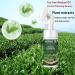Tangsion Cleanser Foam with Tea Tree Oil - Daily Face Wash for Acne-Prone Skin | Extra Strength Soothing Formula (150ml - Buy Online on GoSupps.com