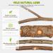 4 Pack Natural Wood Bird Perch for Bird Cages - Parrot Stand Platform Exercise Toys - Cage Accessories for Budgies, Cockatiel, Conure, Parakeet - Paw Grinding Stick Perch Stand - Buy Online on GoSupps.com