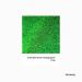 Hemway Premium Ultra Sparkle Emerald Green Holographic Glitter - Multi-Purpose Fine Flake for Arts Cosmetics Resin and Festivals - 100g / 3.5oz - Buy Online on GoSupps.com