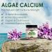 LILICARE Plant Based Calcium Supplement Vegan Omega3 Gummies 1280mg- from Marine Algae Oil - Buy Online on GoSupps.com