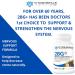 VITAMINERALS 2BG+ B Complex & Multi-Vitamin Immune Support (120ct) | High Potency Formula - Buy Online on GoSupps.com