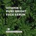 Vitamin C Pure Bright Face Serum - Glutathione for Skin Brightening & Dark Spot Removal | Paraben Free Sun Damage Protection 1 Fl Oz - Buy Online on GoSupps.com
