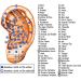 Acupuncture Ear Seeds Kit with 420 Pcs Stickers, Tweezers, and Ear Chart - Acupressure Patch Products - Buy Online on GoSupps.com