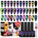 9D Cat Eye Gel Nail Polish Set 12 Colors Cat Eye Gel Polish with Magnet Magnetic Cateye Gel Chameleon Galaxy Effects Professional Use for Salon X9D-SET