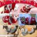 HYLYUN Cat Christmas Sweater 2 Pack - Reindeer & Snowflake Design for Kittys and Small Dogs - Medium Size - Buy Online on GoSupps.com