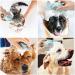 Molain Silicone Pet Bath Brush Comb - Grooming & Massage Tool with Shampoo Dispenser (Blue Paw Shape) - Buy Online on GoSupps.com