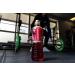 Lucozade Sport Body Fuel - Fruit Punch 12x500ml| Isotonic sports drink with Electrolytes and Vitamin B3 | Still | Bursting with Flavour Apple Fruit Punch Single - Buy Online on GoSupps.com