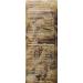 Delallo Organic Whole Wheat Pasta Shells No. 91 - 1 Lb: Premium Quality, Healthy Choice - Buy Online on GoSupps.com