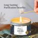 101 Long Lasting Full Moon Aromatherapy Candle | Sage Frankincense Sandalwood Rose & Cedar | 6 Oz 35 Hour Burn | All Natural Soy Wax for Manifestation & Release - Buy Online on GoSupps.com