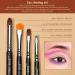 Jessup Eyeshadow Brush Set - 12pcs Professional Eye Makeup Brushes - Buy Online on GoSupps.com