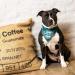 Max & Molly H-Harness - Coffee Break | Durable & Stylish Dog Harness for Comfortable Walks - Shop Internationally! - Buy Online on GoSupps.com