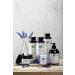 ecoLove Natural Body Wash for Dry Skin - Organic Blueberry & Lavender | Vegan, SLS & Paraben-Free, 17.6 oz - Buy Online on GoSupps.com