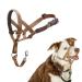 Halti head harness-prevents your dog from pulling on a leash simple adjustment light with a padded nose strap anti-train collar for medium-sized dogs (size 2 desert sand) desert sand 2