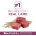 Purina ONE +Plus Dry Puppy Food with Lamb - 1.81 kg Bag 1.81 kg (Pack of 1) Dog Food - Buy Online on GoSupps.com