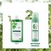 Klorane - Dry Shampoo with Nettle for Oily Hair Tinted - Natural Tint for Brunettes Absorbs Oil Production - 150ml - Buy Online on GoSupps.com