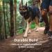 Shop Luffwear Front Range Dog Harness - Reflective Adjustable & Padded for Comfort | Blue Pool XXS | Perfect for Walks & Dog Races - International Shipping Available - Buy Online on GoSupps.com