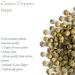 Poivre Vert Pour Broyeur Bio - Poivre Entier Biologique - Poivre Gourmet Poivre Vert Poivre En Grain Poivre Bio Poivre Vert Bio Poivre Vert S ch  - Buy Online on GoSupps.com