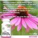 PlantVital Echinacea capsules 500mg Source of Vitamin C and Zinc Treatment for respiratory tract infections Helps relieve cold symptoms 240 capsules Vegan non-GMO. Made in Canada. 240 count (Pack of 1) - Buy Online on GoSupps.com