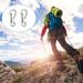 Mini Carabiner Set (10 Pieces) - Small Carabiner Hooks for Keys Camping & Outdoor Use - Buy Online on GoSupps.com