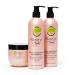 Essence of Argan Renewing Hair Care Products Infused with 100% Pure Moroccan Organic Argan Oil - Volumizes  Nourishes and Heals Your Hair - All Hair Types (Shampoo  Conditioner & Mask Set)