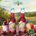Original Polish Tymbark Drinking Juice | 250ml | The Fruity Refreshment from Poland | Less Sugar Juicy Refreshing Fruit Drink | Perfect For a Meal - Pack of 12 (Cherry Apple Drink) - Buy Online on GoSupps.com