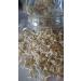 1Kg Organic Lentil Sprouts Seeds for Germination | Microgreens & Healthy Herb Sprouts - International Shipping - Buy Online on GoSupps.com