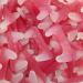 Kingsway Dracula Teeth (500g) - Buy Online on GoSupps.com