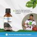 Buy Bioherba Shilajit Mumijo Drops 50ml - Boost Energy & Vitality Men's Power | Natural Plant Extract with Vitamin C - Buy Online on GoSupps.com