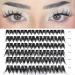 Lankiz 0.07 D Curl Single Eyelash Extensions - 10-16mm Cluster Lashes | 48 PCs DIY Artificial Fake Lashes for Home Use - Buy Online on GoSupps.com