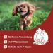 MEDIDOG Natural Spot On - 50ml Tick Repellent for All Dog Breeds | Chemical-Free Ready-to-Use Solution - Buy Online on GoSupps.com